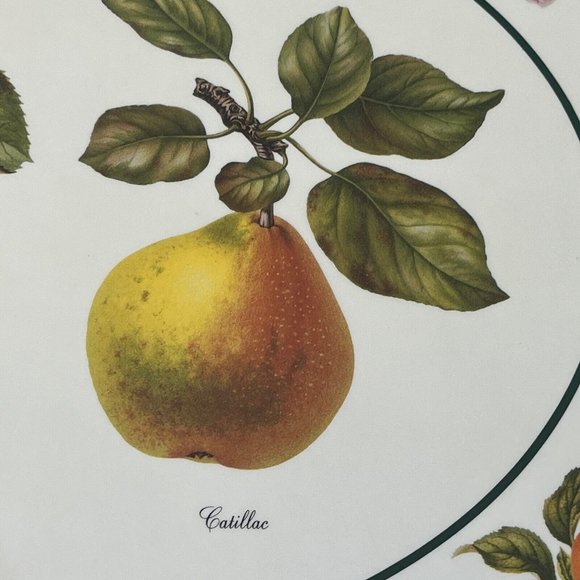 Royal Table Cork-Backed Placemats 12"X9" FRUIT CLASSICS Set of 4 In Box England - Picture 5 of 8